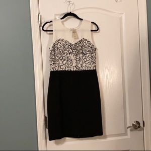 LOFT cocktail dress